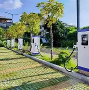 植物大战畺尸beta版666